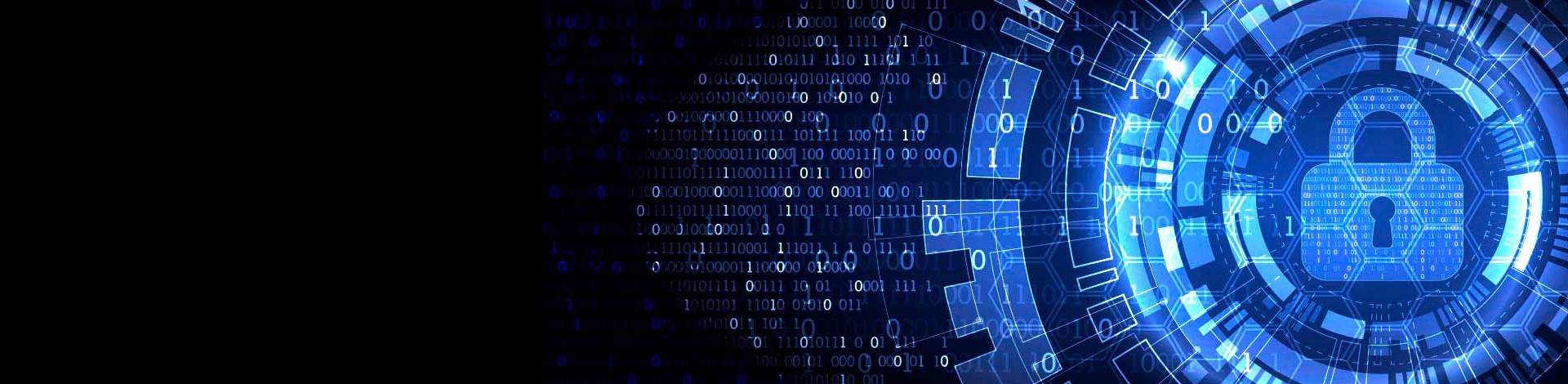 Dirección Web Bloqueada!